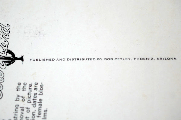 US アリゾナ SEX LIFE OF THE DATE PALM フェニックス 植物 風景 写真 ヴィンテージ・ポストカード 絵葉書 印刷物