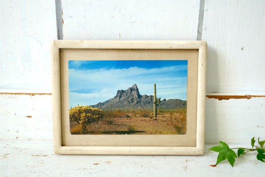 PICACHO PEAK ピカチョピーク アリゾナ州 風景 写真 サボテン ヴィンテージ ポストカード ハガキ・絵葉書・印刷物