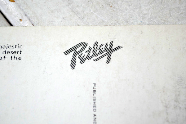 SAGUARO FOREST  サグアロ 風景 写真 サボテン ヴィンテージ ポストカード ハガキ 絵葉書 印刷物