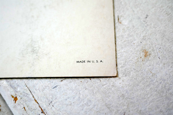 SAGUARO FOREST  サグアロ 風景 写真 サボテン ヴィンテージ ポストカード ハガキ 絵葉書 印刷物