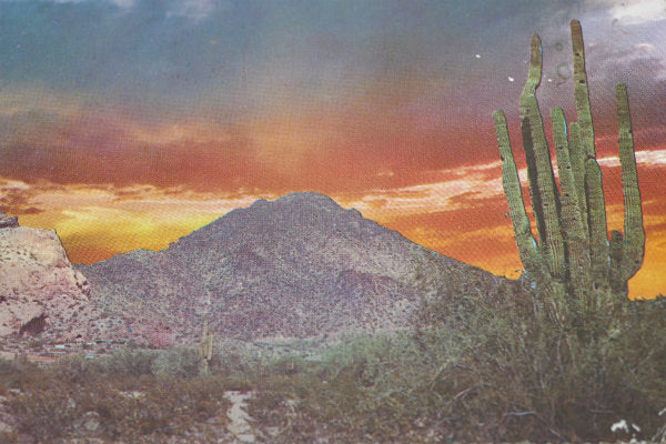 アリゾナ スコッツデール 日の出 サンライズ サボテン ヴィンテージ・ポストカード ハガキ・絵葉書・印刷物