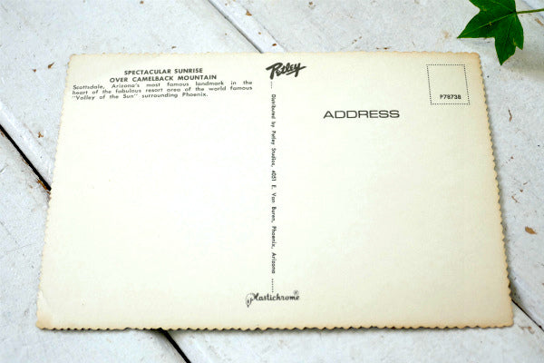 アリゾナ スコッツデール 日の出 サンライズ サボテン ヴィンテージ・ポストカード ハガキ・絵葉書・印刷物