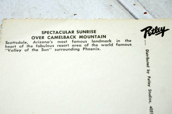 アリゾナ スコッツデール 日の出 サンライズ サボテン ヴィンテージ・ポストカード ハガキ・絵葉書・印刷物