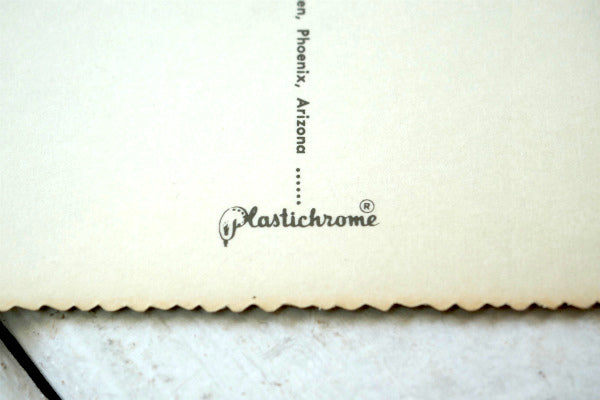 アリゾナ スコッツデール 日の出 サンライズ サボテン ヴィンテージ・ポストカード ハガキ・絵葉書・印刷物