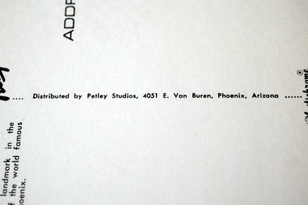 アリゾナ スコッツデール 日の出 サンライズ サボテン ヴィンテージ・ポストカード ハガキ・絵葉書・印刷物