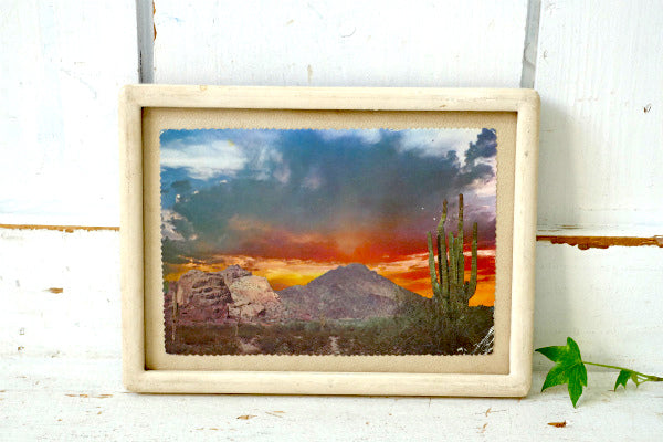 アリゾナ スコッツデール 日の出 サンライズ サボテン ヴィンテージ・ポストカード ハガキ・絵葉書・印刷物