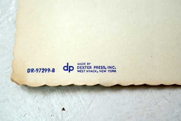 Magenta ビーバーテール サボテン アリゾナ ツーソン フェニックス ヴィンテージ ポストカード ハガキ・絵葉書・印刷物