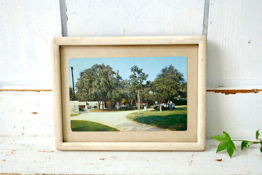 LA HABRA カリフォルニア ロサンゼルス 1960~1970s 当時 ピクニック 風景 写真 ヴィンテージ・ポストカード ハガキ・絵葉書・印刷物