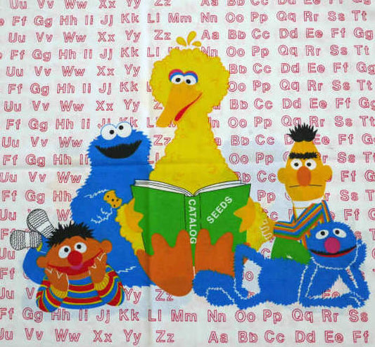 セサミストリートの仲間たち アルファベット&読書柄 ヴィンテージ ピローケース 枕カバー キャラクター Sesame Street